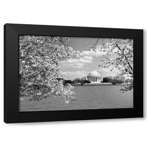Jefferson Memorial with cherry blossoms, Washington, D.C. - Black and White Variant Black Modern Wood Framed Art Print by Highsmith, Carol