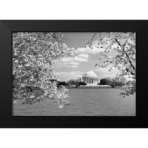 Jefferson Memorial with cherry blossoms, Washington, D.C. - Black and White Variant Black Modern Wood Framed Art Print by Highsmith, Carol