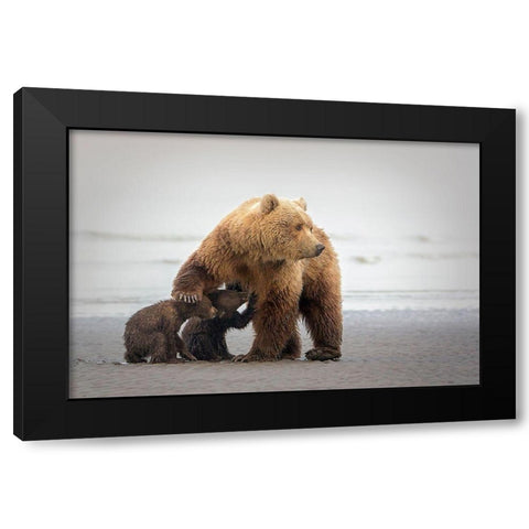 Family Time Black Modern Wood Framed Art Print with Double Matting by Doyle, Renee