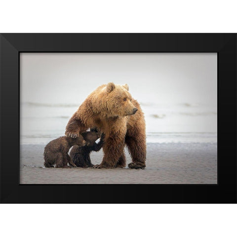 Family Time Black Modern Wood Framed Art Print by Doyle, Renee