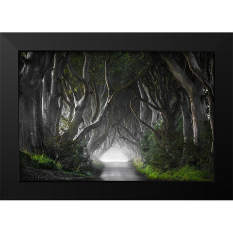 Dark Hedges Black Modern Wood Framed Art Print by Molteni, Nicola