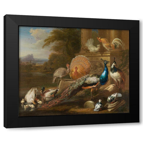Peacocks, Doves, Turkeys, Chickens and Ducks by a Classical Ruin Black Modern Wood Framed Art Print with Double Matting by Cradock, Marmaduke