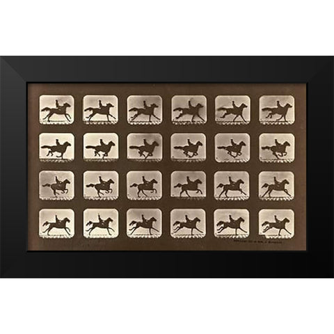 Motion Study: Man Riding A Galloping Horse Black Modern Wood Framed Art Print by Muybridge, Eadweard
