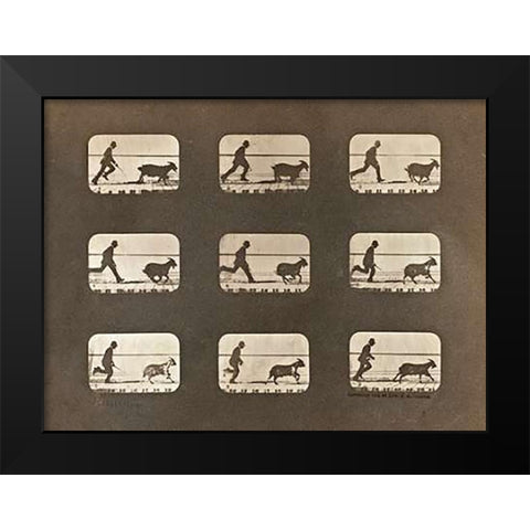 Motion Study: Man Chasing A Goat Black Modern Wood Framed Art Print by Muybridge, Eadweard