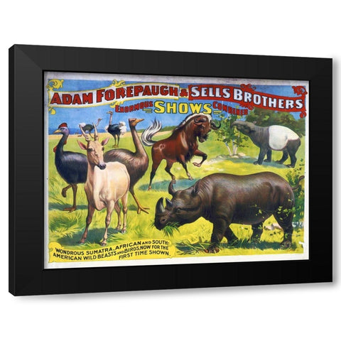 Adam Forepaugh and Sells Brothers Enormous Shows Combined - Wondrous Sumatra, African And South-Amer Black Modern Wood Framed Art Print with Double Matting by Hollywood Photo Archive