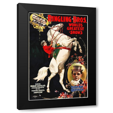 Madam Ada Castello And Jupiter, Poster For Ringling Brothers, Ca -  1899 Black Modern Wood Framed Art Print by Hollywood Photo Archive