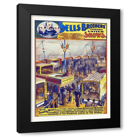 Sells Brothers Enormous United Shows--Rare Zoological Marvels - 1895 Black Modern Wood Framed Art Print by Hollywood Photo Archive