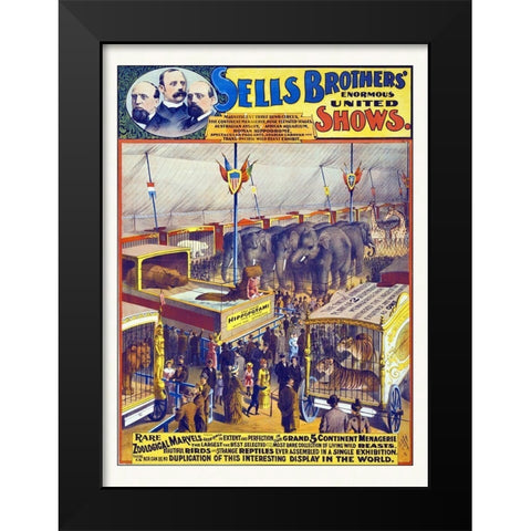 Sells Brothers Enormous United Shows--Rare Zoological Marvels - 1895 Black Modern Wood Framed Art Print by Hollywood Photo Archive