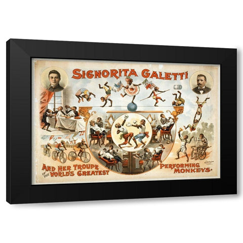 Signorita Galetti Performing Monkeys Black Modern Wood Framed Art Print by Hollywood Photo Archive