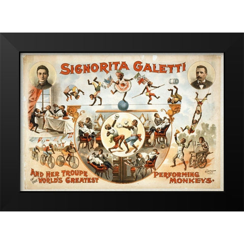 Signorita Galetti Performing Monkeys Black Modern Wood Framed Art Print by Hollywood Photo Archive