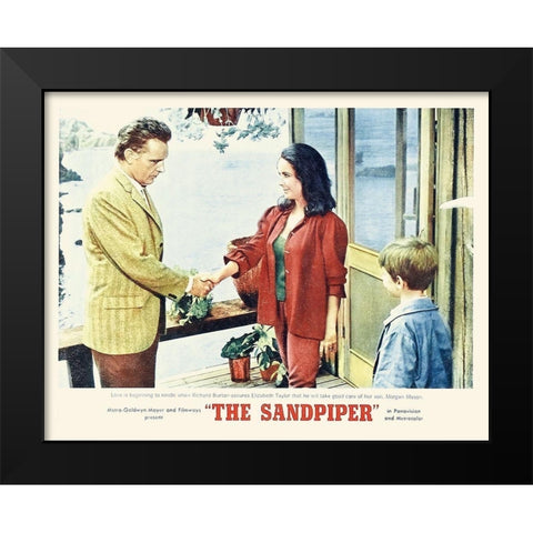 Elizabeth Taylor - Sandpiper - Lobby Card Black Modern Wood Framed Art Print by Hollywood Photo Archive