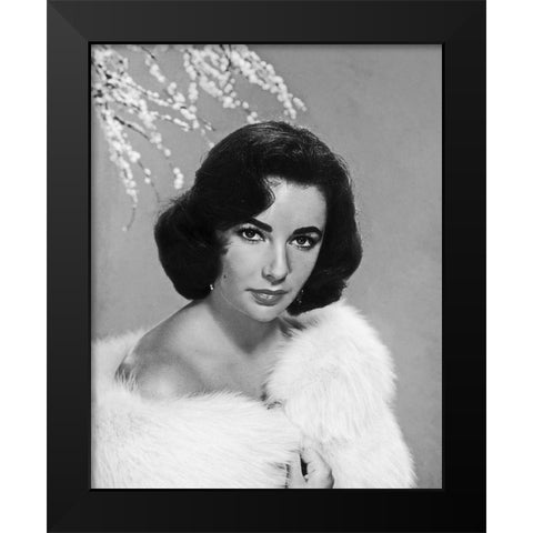 Elizabeth Taylor Black Modern Wood Framed Art Print by Hollywood Photo Archive