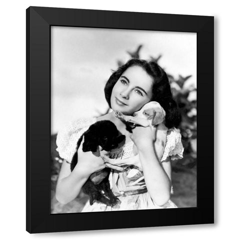 Elizabeth Taylor with puppies Black Modern Wood Framed Art Print with Double Matting by Hollywood Photo Archive