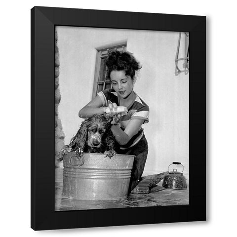 Elizabeth Taylor washing a dog Black Modern Wood Framed Art Print with Double Matting by Hollywood Photo Archive