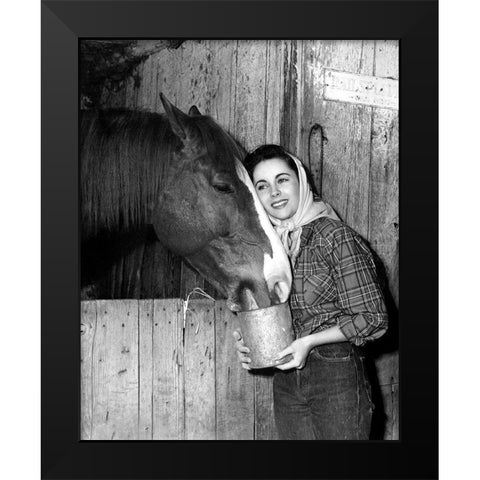 Elizabeth Taylor Black Modern Wood Framed Art Print by Hollywood Photo Archive