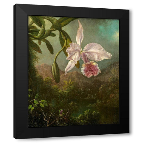 Orchid Blossoms Black Modern Wood Framed Art Print by Heade, Martin Johnson