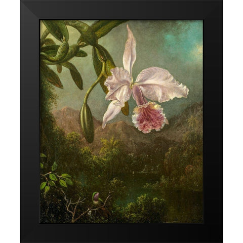 Orchid Blossoms Black Modern Wood Framed Art Print by Heade, Martin Johnson