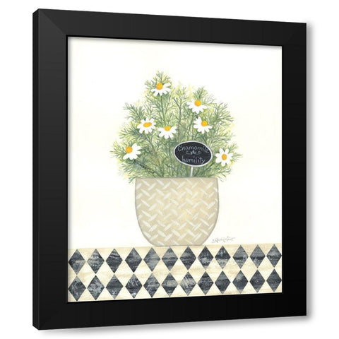 Chamomile Humility Black Modern Wood Framed Art Print with Double Matting by LaPoint, Annie