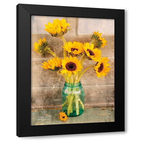 Country Sunflowers I Black Modern Wood Framed Art Print with Double Matting by Smith, Anthony