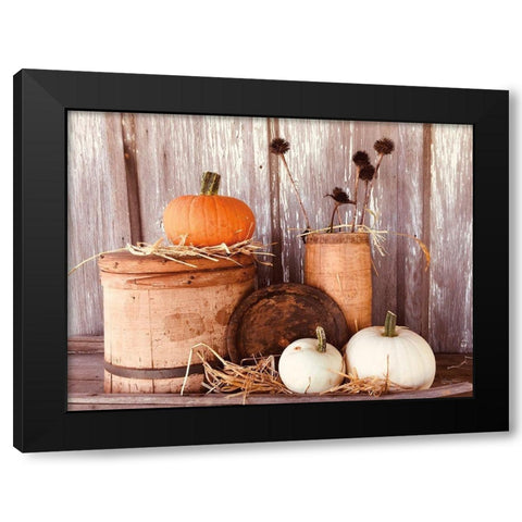 Autumn Pumpkins Black Modern Wood Framed Art Print with Double Matting by Smith, Anthony