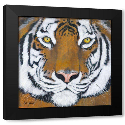 Tiger Gaze      Black Modern Wood Framed Art Print by Hallowell, Britt