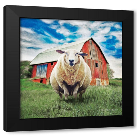 Sunday Afternoon Sheep Pose   Black Modern Wood Framed Art Print by Bluebird Barn