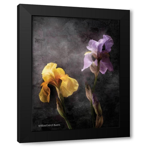 Contemporize Floral Iris Black Modern Wood Framed Art Print with Double Matting by Bluebird Barn