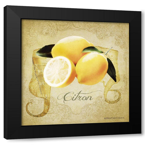 Vintage Lemons Citron Black Modern Wood Framed Art Print with Double Matting by Bluebird Barn