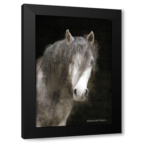 Gypsy Vanner Mystique   Black Modern Wood Framed Art Print with Double Matting by Bluebird Barn