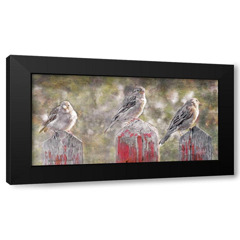 Birds on a Fence Black Modern Wood Framed Art Print with Double Matting by Bluebird Barn