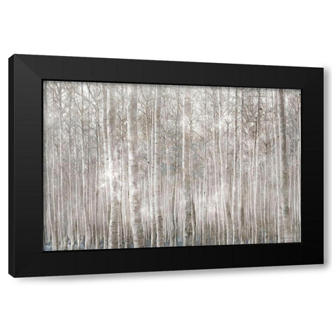 Birch Trees     Black Modern Wood Framed Art Print by Bluebird Barn