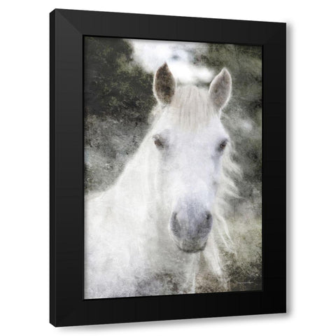 White Horse Mystique    Black Modern Wood Framed Art Print with Double Matting by Bluebird Barn