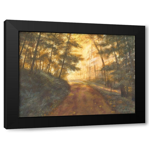 Golden Forest Black Modern Wood Framed Art Print with Double Matting by Britton, Pam