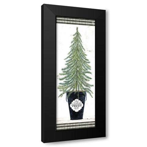 Fir Tree    Black Modern Wood Framed Art Print with Double Matting by Jacobs, Cindy