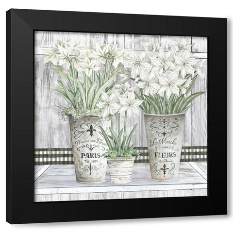 Amaryllis Multi Pots Black Modern Wood Framed Art Print with Double Matting by Jacobs, Cindy