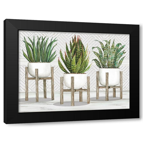 Succulent Trio on Stands Black Modern Wood Framed Art Print with Double Matting by Jacobs, Cindy