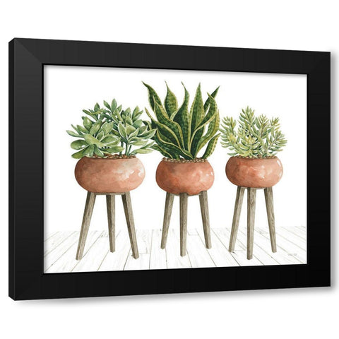 Clay Pot Trio of Plants Black Modern Wood Framed Art Print with Double Matting by Jacobs, Cindy