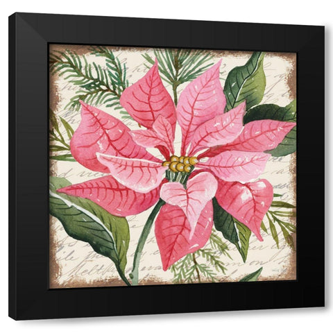 Pink Poinsettia Botanical Black Modern Wood Framed Art Print with Double Matting by Jacobs, Cindy