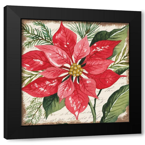 Red Poinsettia Botanical Black Modern Wood Framed Art Print by Jacobs, Cindy