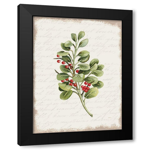 Berries Christmas Botanical Black Modern Wood Framed Art Print with Double Matting by Jacobs, Cindy