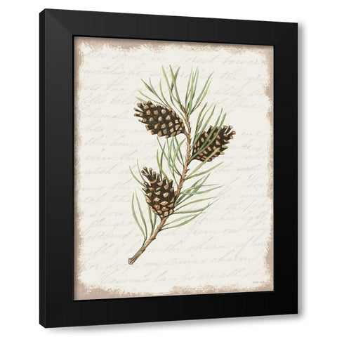Pine Cone Botanical I Black Modern Wood Framed Art Print with Double Matting by Jacobs, Cindy