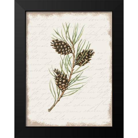Pine Cone Botanical I Black Modern Wood Framed Art Print by Jacobs, Cindy