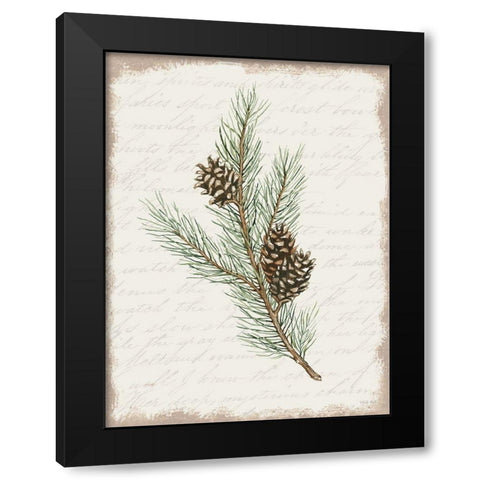 Pine Cone Botanical II Black Modern Wood Framed Art Print with Double Matting by Jacobs, Cindy
