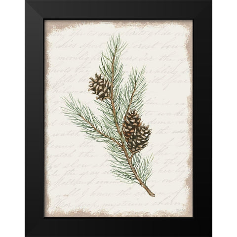 Pine Cone Botanical II Black Modern Wood Framed Art Print by Jacobs, Cindy
