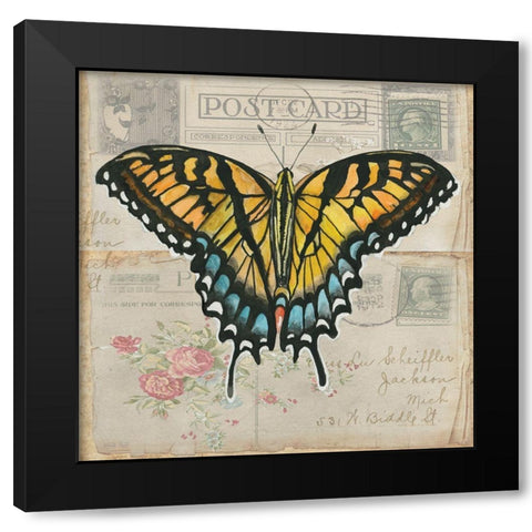 Postcard Butterfly II Black Modern Wood Framed Art Print by Jacobs, Cindy