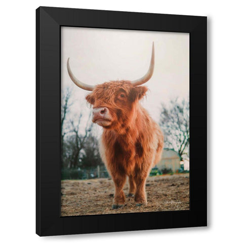Hello There I Black Modern Wood Framed Art Print by Diener, Dakota