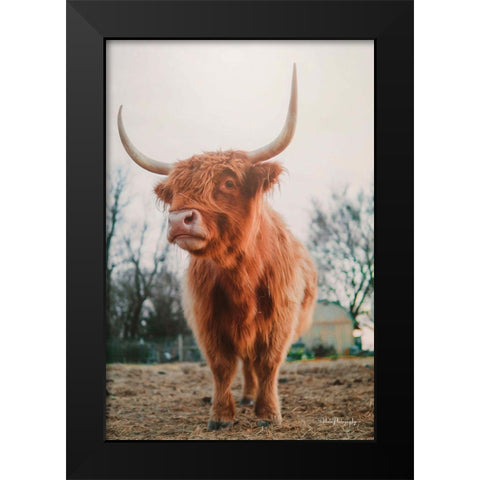 Hello There I Black Modern Wood Framed Art Print by Diener, Dakota