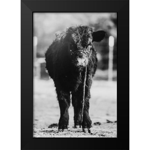 Single Cow Black Modern Wood Framed Art Print by Diener, Dakota