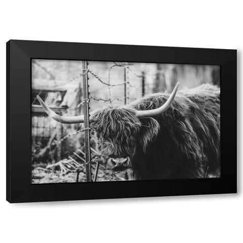 Highland and Fence Black Modern Wood Framed Art Print by Diener, Dakota