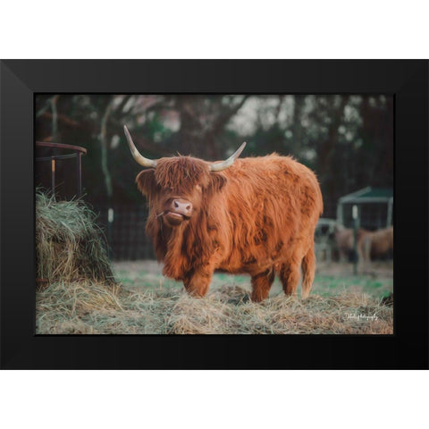 Hungry Cow I Black Modern Wood Framed Art Print by Diener, Dakota